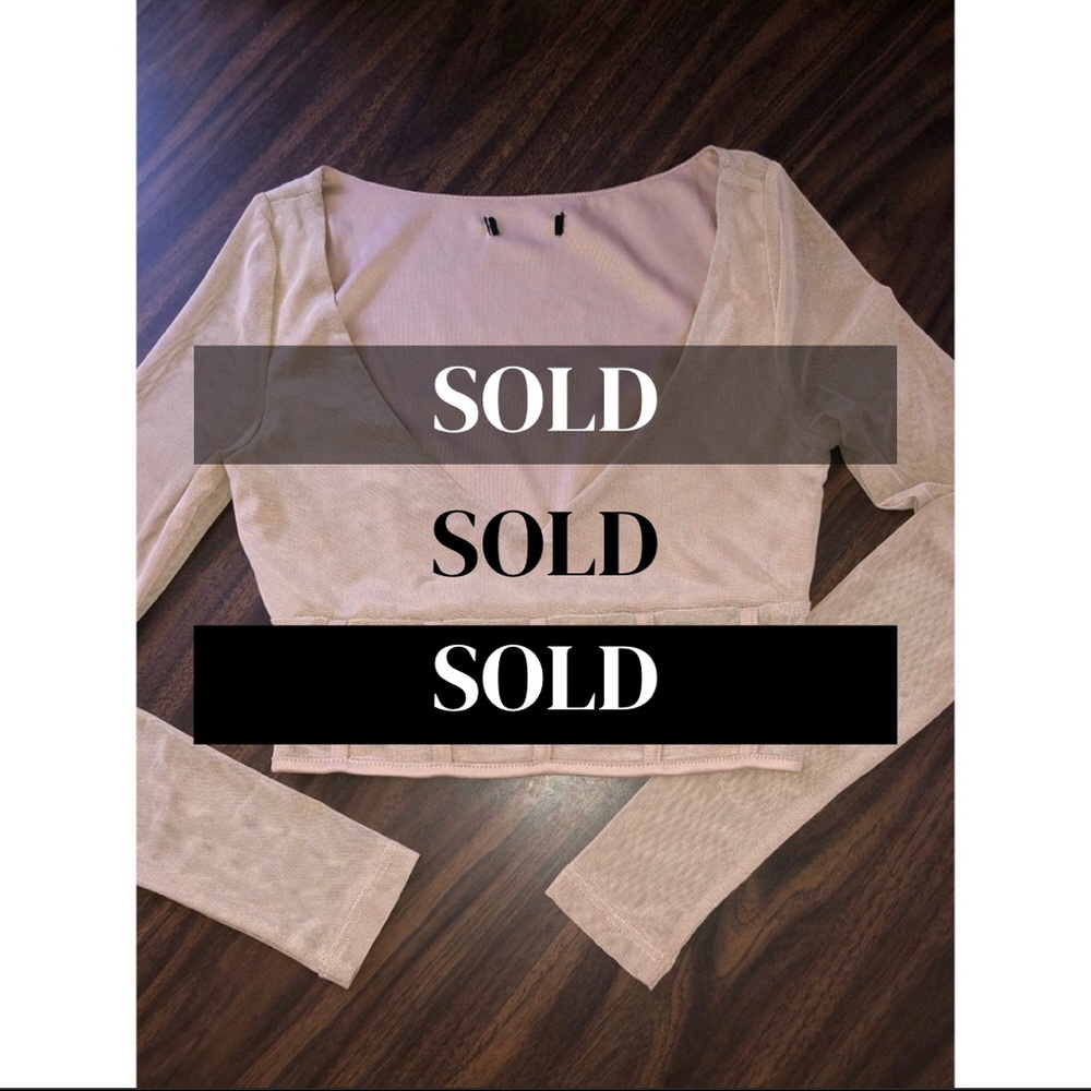 ⛔️SOLD⛔️Nude Mesh Crop Top